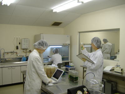 カリカセラピps 501 口コミで人気のサプリメント 効果的な食べ方もご紹介 カリカ石鹸 カリカ入浴剤も有り 癒し屋ふわんふわん 店舗 愛知県一宮市